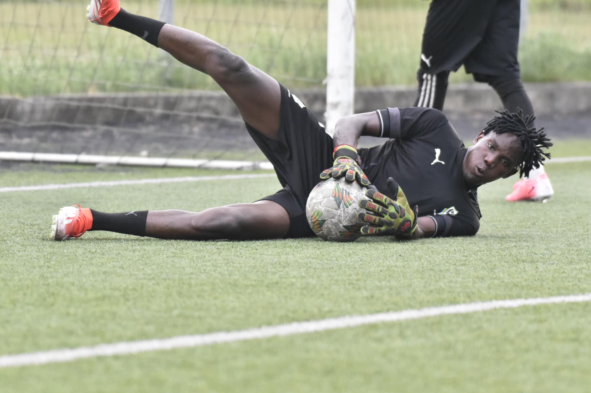 Uniffac/U20 : fin du bricolage pour les Panthères !